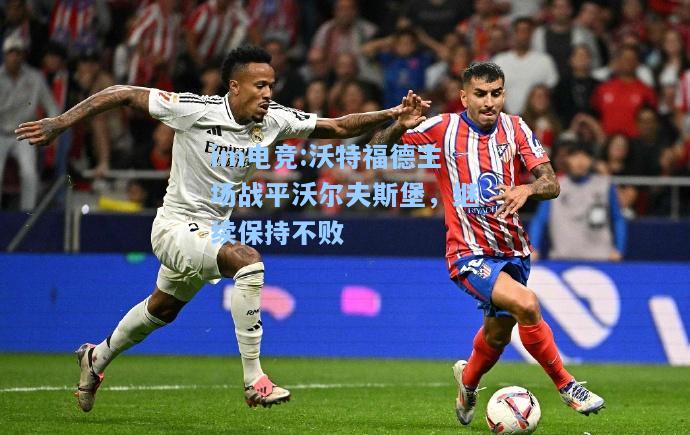 沃特福德主场战平沃尔夫斯堡，继续保持不败