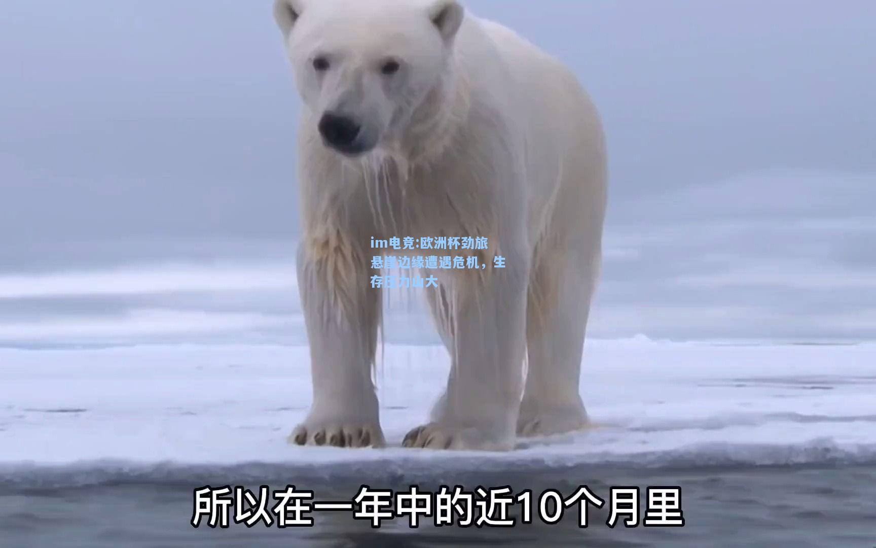 欧洲杯劲旅悬崖边缘遭遇危机，生存压力山大